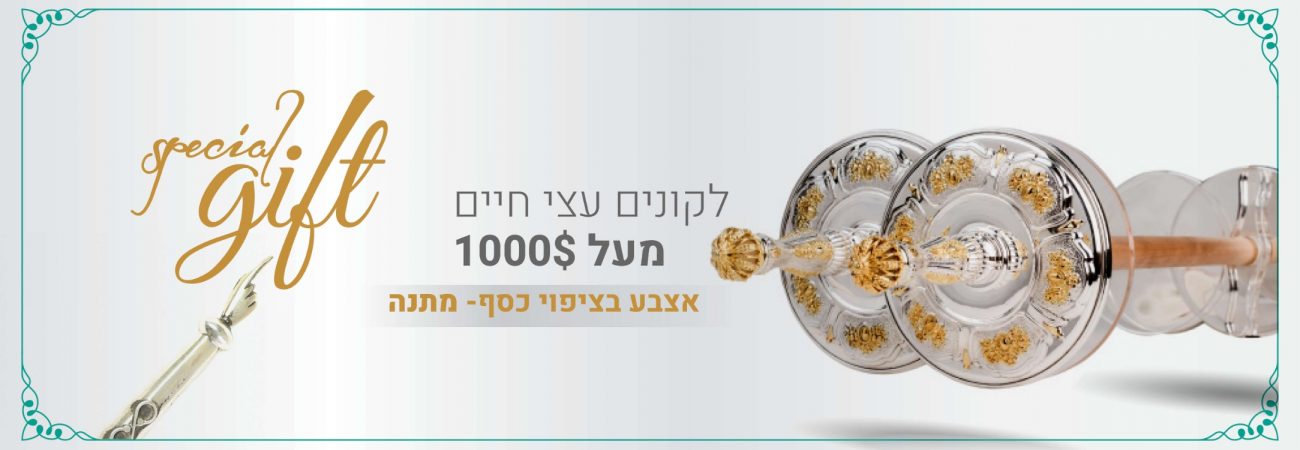 סליידרים 20185